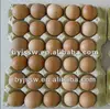 Chicken/ Duck 30 Eggs Paper Pulp Egg Cartons Trays For Sale Cheap