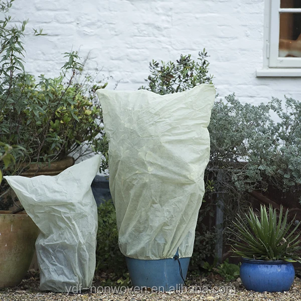 pr2000008848_card6_lg