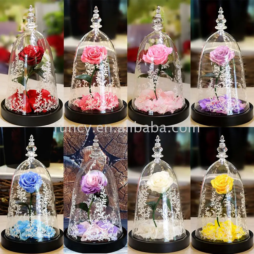 Best Valentines Day Gift Preserved Flower Beauty And The Beast