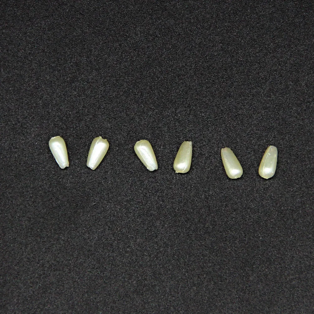 164.jpg