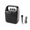 Rechargeable Amplifier Wireless Microphone Karaoke 15W Bluetooth Speaker Amplified Sound Box With Usb
