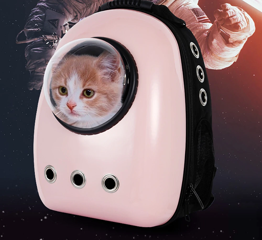 cat walking backpack