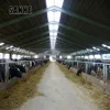 China prefabricated steel structure construction for cattle shed