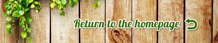 transparent flower pot