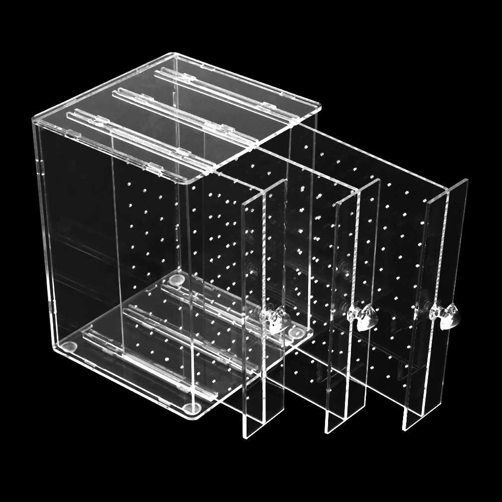 Acrylic Body Piercing Jewelry Display Stand With Moderrn Lovely Design