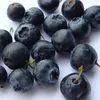 IQF frozen blueberries price
