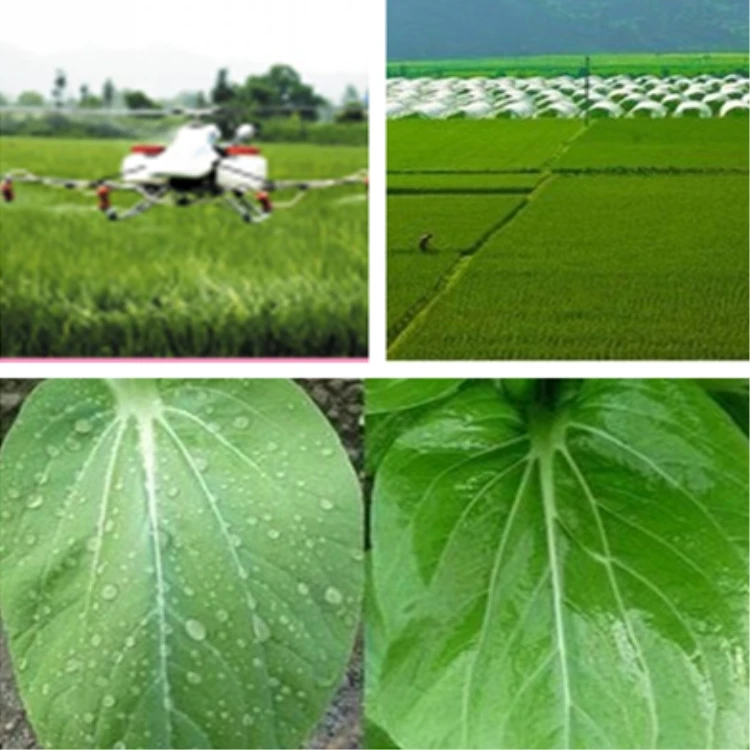 Silway 240 high efficiency agricultural assistant super wetting agent CAS:134180-76-0 Factory sales