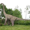 Long-neck Dinosaur King for all kinds of Garden Decoration