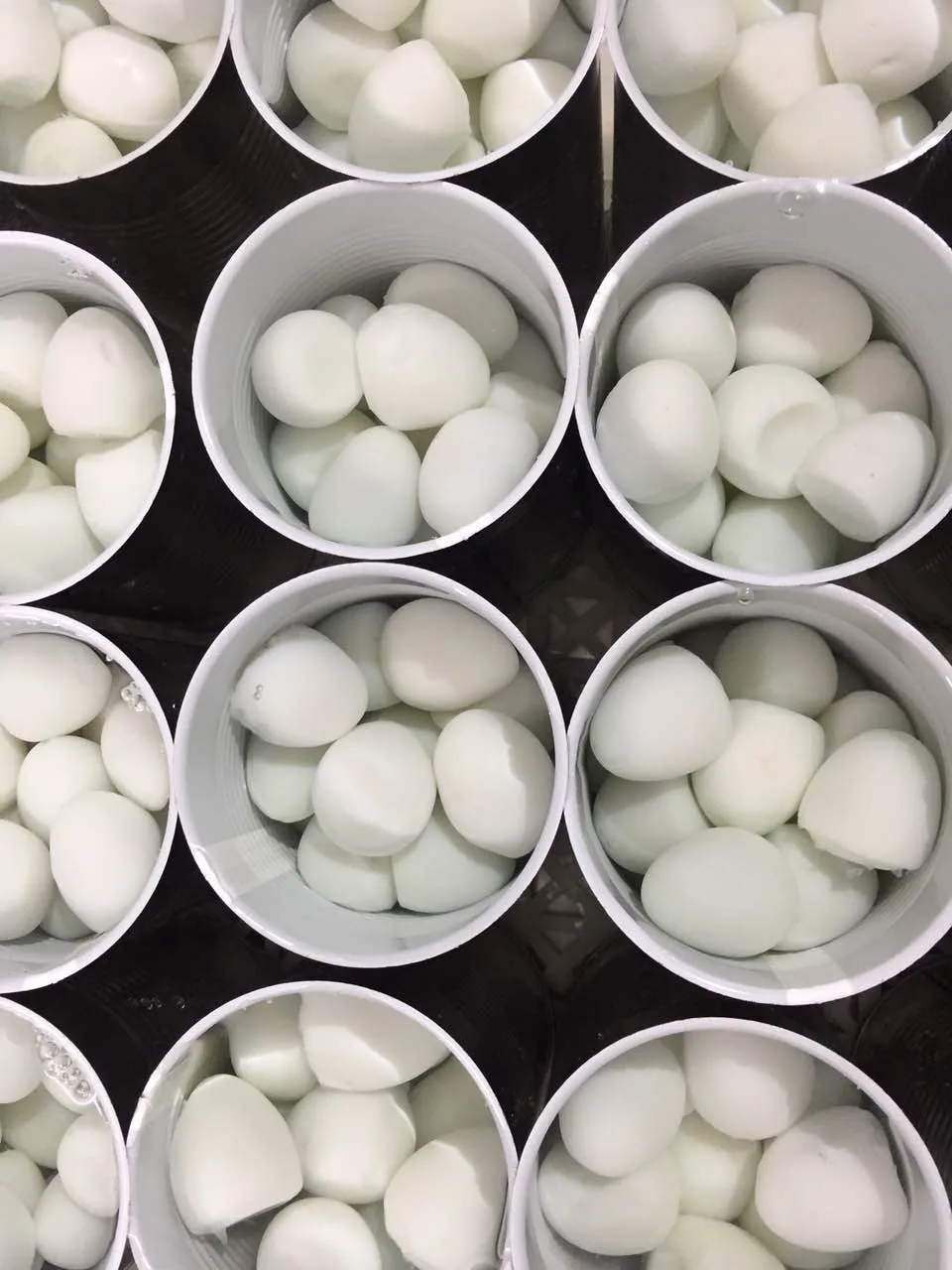Canned Boiled Quail Eggs In Brine Packing In Tins Or Bags Buy Huevos
