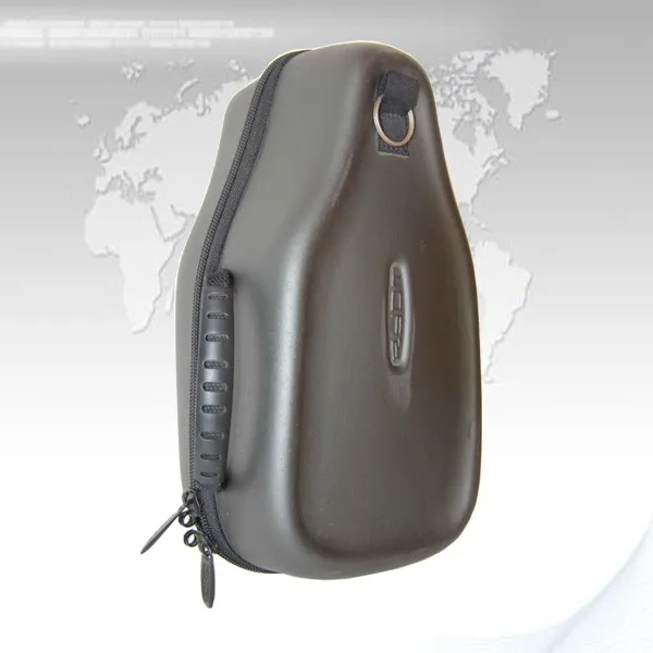 guitar case (1)