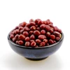 New Corp Small Red Bean M.C.