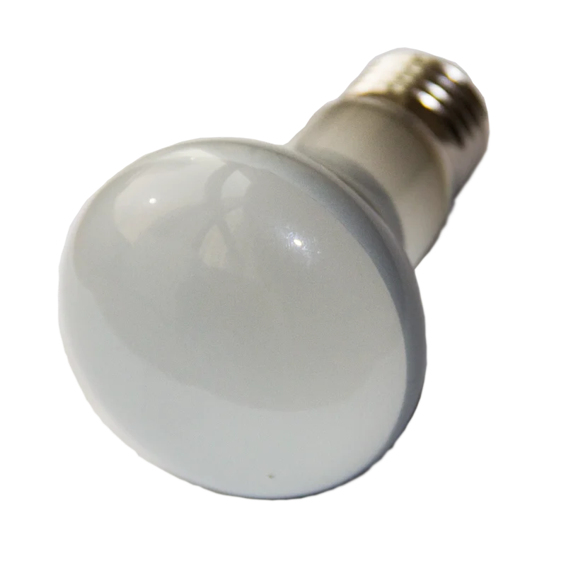 75w heat bulb