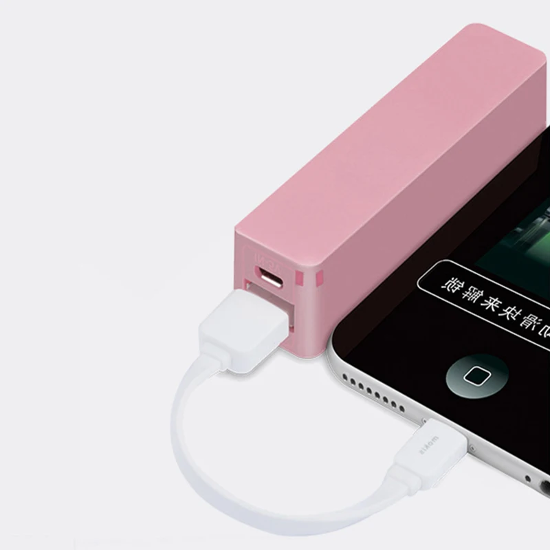 Promotional Gift Portable Cell Phone 2000mah Mini Keychain Power Bank Charger With Usb For