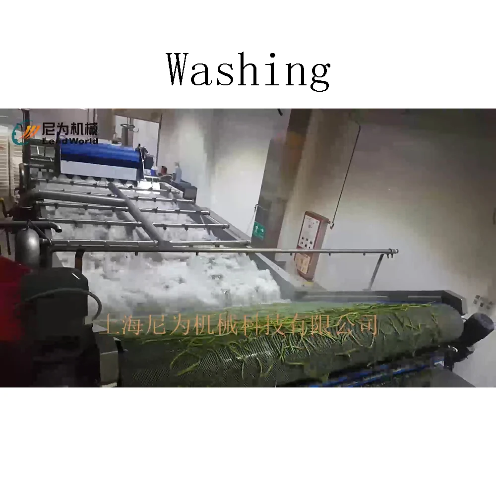 washing beans part.jpg