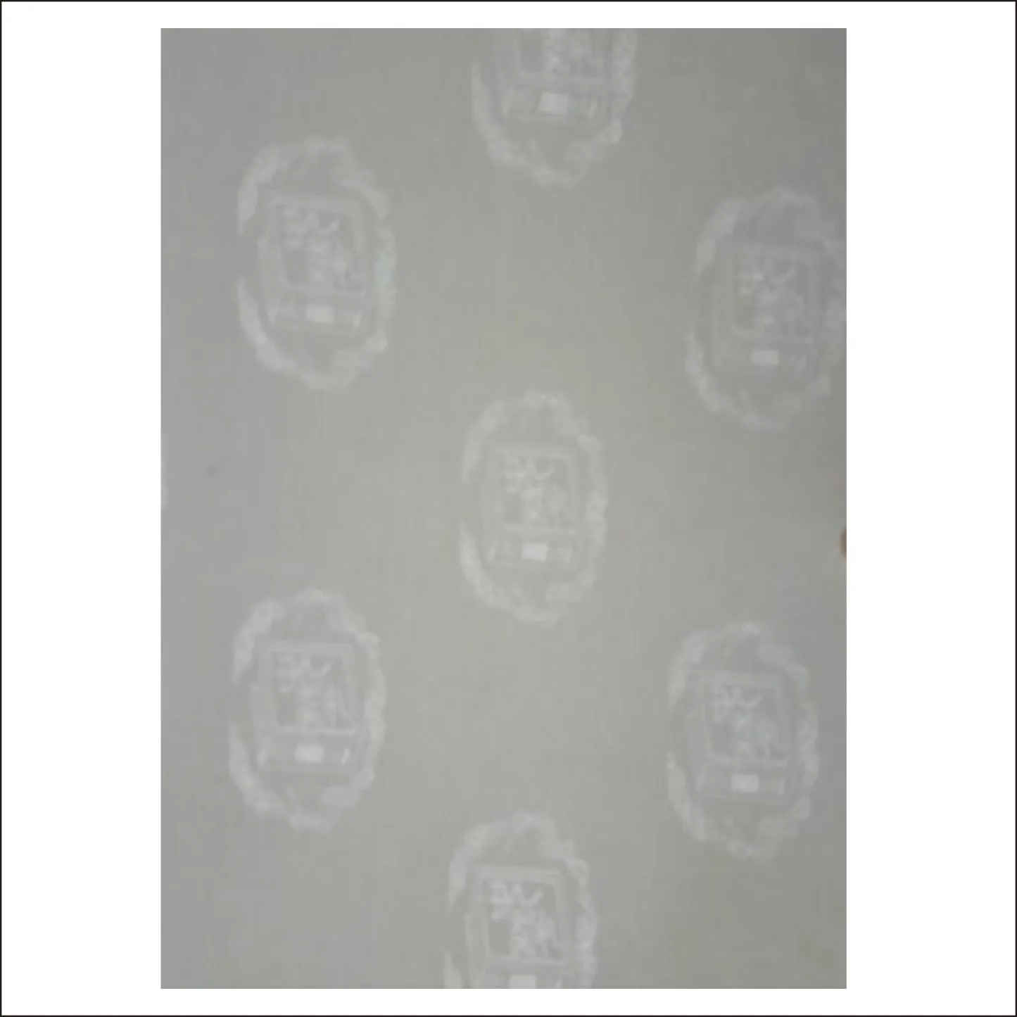 Watermarked paper custom picture