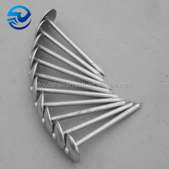 Iso Factory Universal Sizes 1000pc Assorted Standard Roofing Nail Kit Buy Galvanzied Roofing