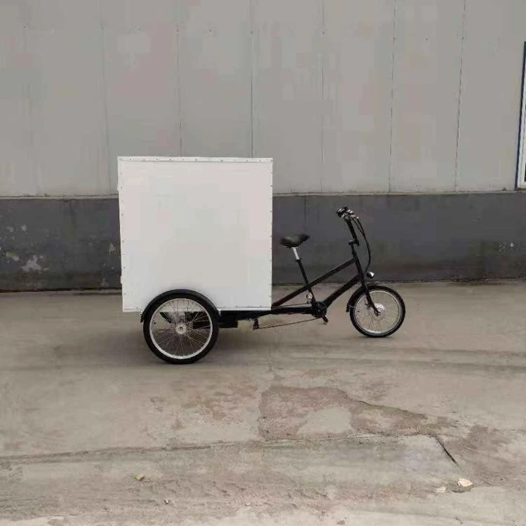 electric delivery tricycle