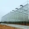 Commercial Gutter Connected Flat Roof Glass Greenhouse with Galvanized Steel Frame for Sale