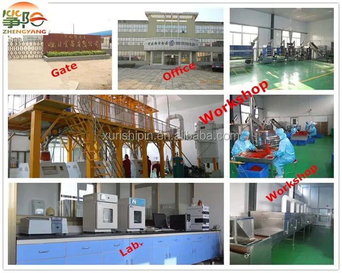 Company and workshop.jpg