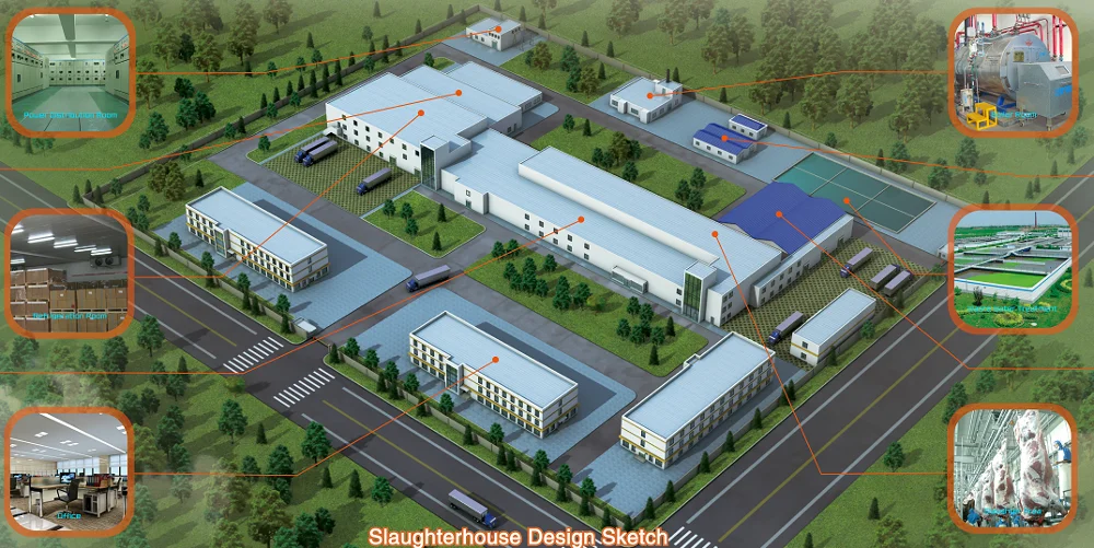 Complete sheep and goat slaughtering line for modern slaughterhouses and meat processing plants