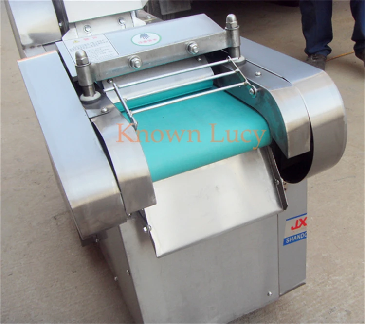 fruit  cutting machine 5.jpg