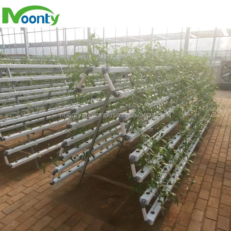 Hydroponics System Vertical Buy Hydroponics System Vertical