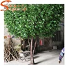 Natural trunk artificial ficus tree PE leaves branches artificial forest trees indoor for sale