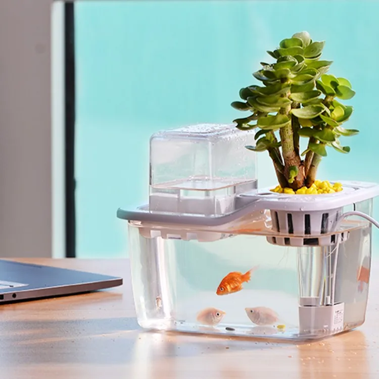 Indoor Garden Aquaponic Ecosystem Desktop At Home Or ...