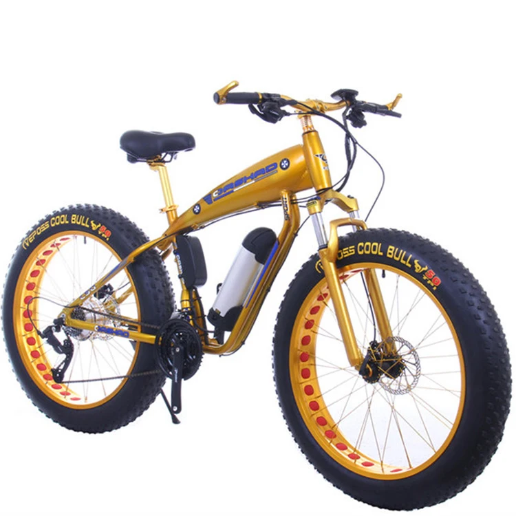 bicystar mountain bike price
