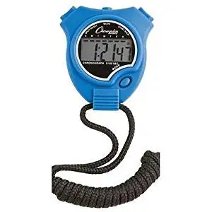 champion watch company