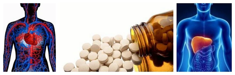 Super quality polygonum cuspidatum extract/ resveratrol with high quality.jpg