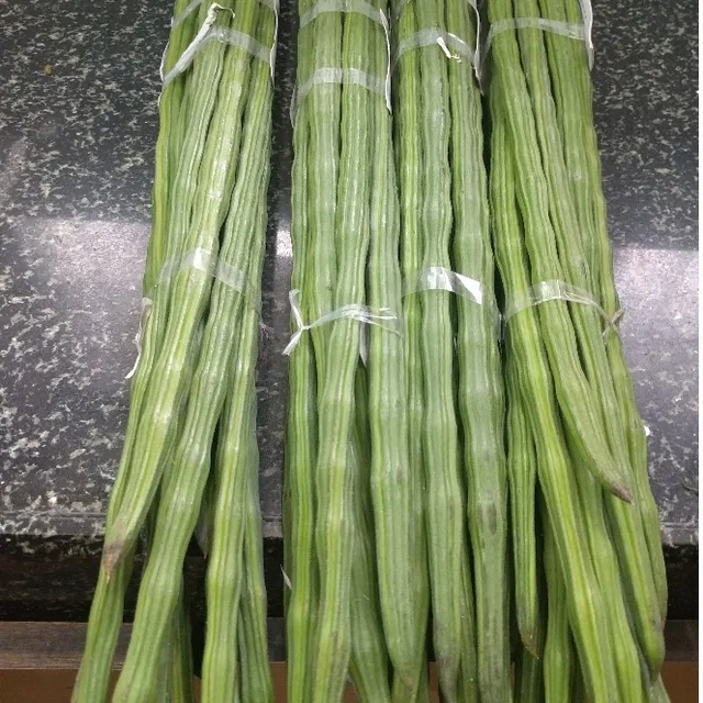 best quality fresh drumstick vegetable from india