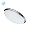 Top quality new style modern led ceiling lamp used for family