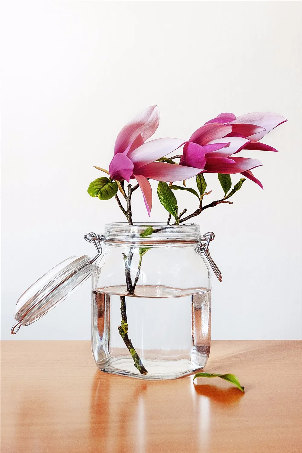 Silk Flowers Wholesale Magnolia Artificial Flower Cheap Artificial Magnolia Trees 9 Hedad Artificial Magnolia Leaves Buy Magnolia Artificial Flower Artificial Magnolia Trees 9 Hedad Artificial Magnolia Leaves Product On Alibaba Com