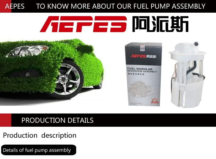 fuel pump assemble.jpg