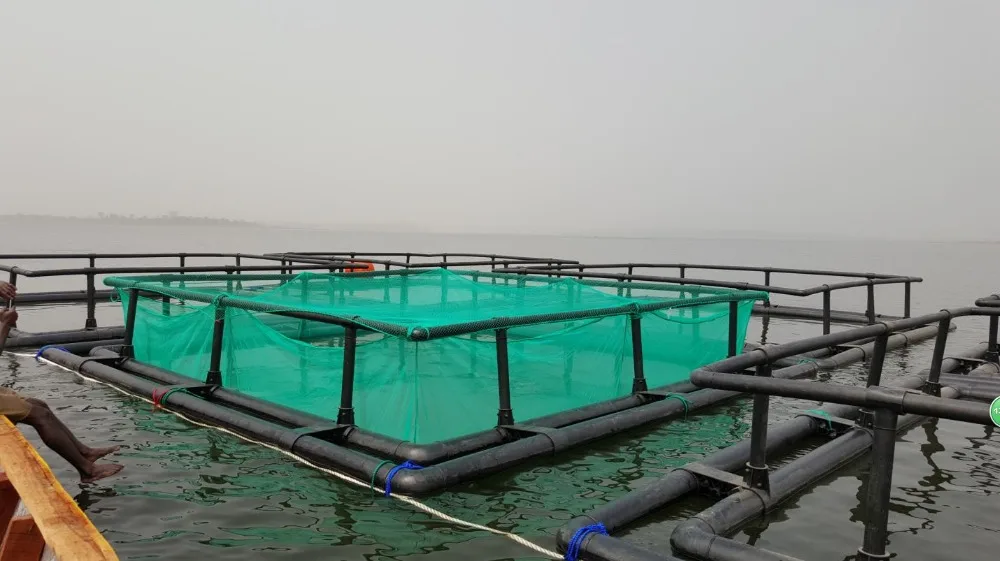 Fish Cage Floating For Fish Farming In The Lake Or Sea Buy Fish Cage