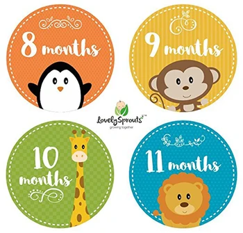 First Year Baby 2 Months Sticker - Buy 2 Months Sticker,Free Baby Month ...