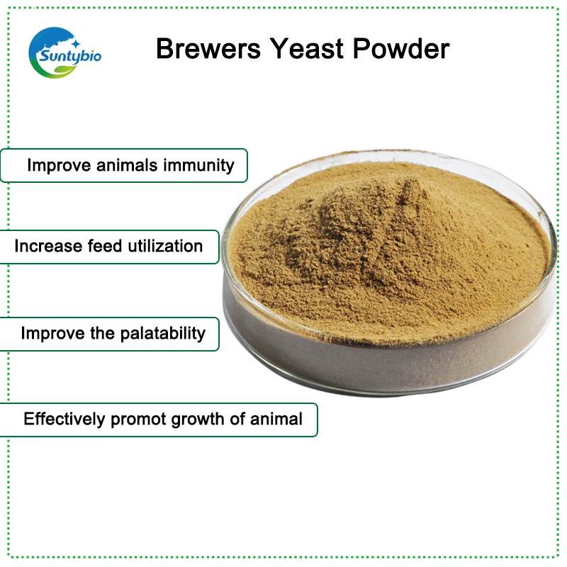Brewers Yeast Extract / Supplement,Beer Yeast Powder Buy Yeasract