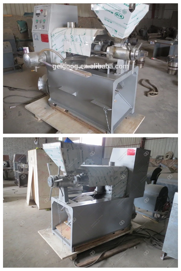 Automatic Cashew Nut Shell Moringa Peanut Oil Extraction Machine Palm
