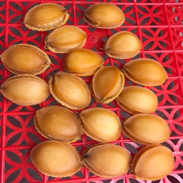 Dried Abalone For Sale Buy Dried Abalone Price,Dried Abalone,Dried