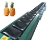 Hot Selling Big Fruit Plate Automatic Pineapple Sorting Machine For Sale