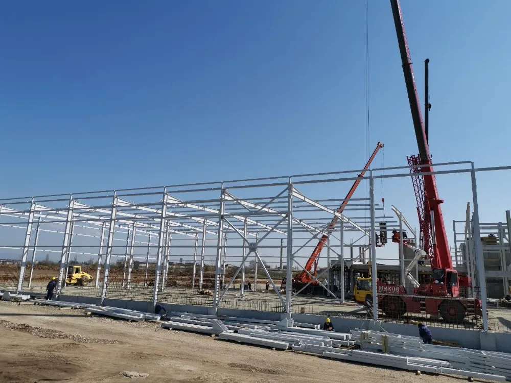 高品质的轻钢养鸡场建筑与定制设计