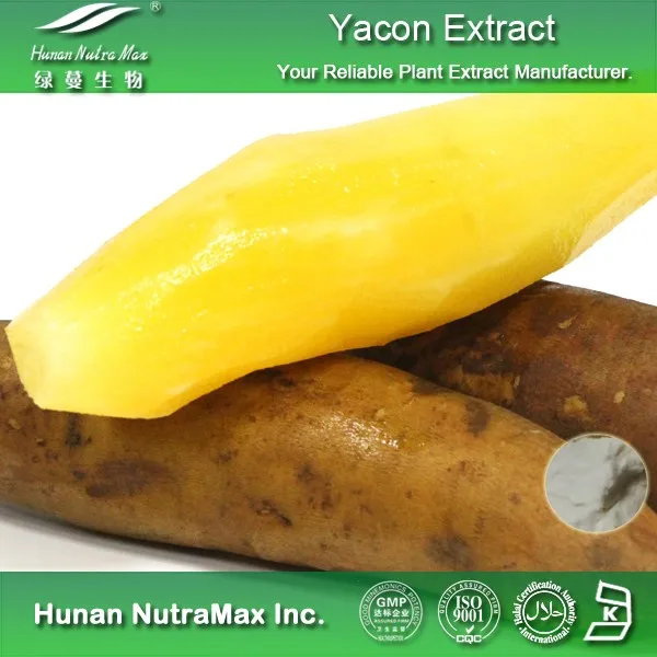 Top Quality Yacon Extract,Yacon Root Extract,Yacon P.e.(extract Ratio4