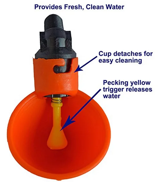 chicken drinker-32.png