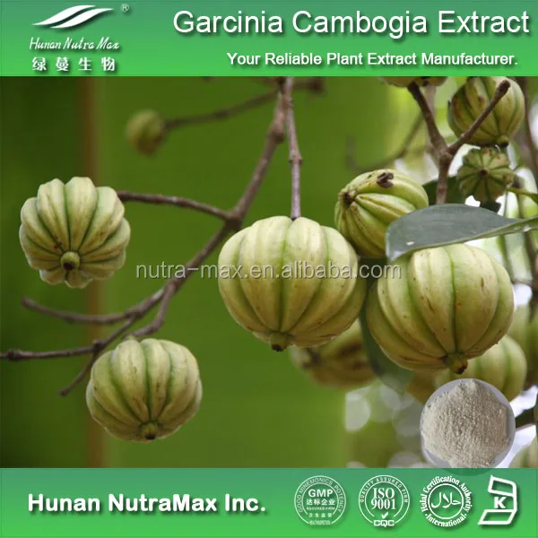 Principio Ativo Garcinia Cambogia Principio ativo garcinia cambogia