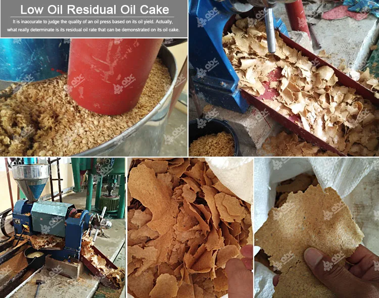 Dried Coconut Oil Press Cake in Alappuzha at best price by Chandra Oil  Expellers - Justdial