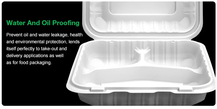 food container2