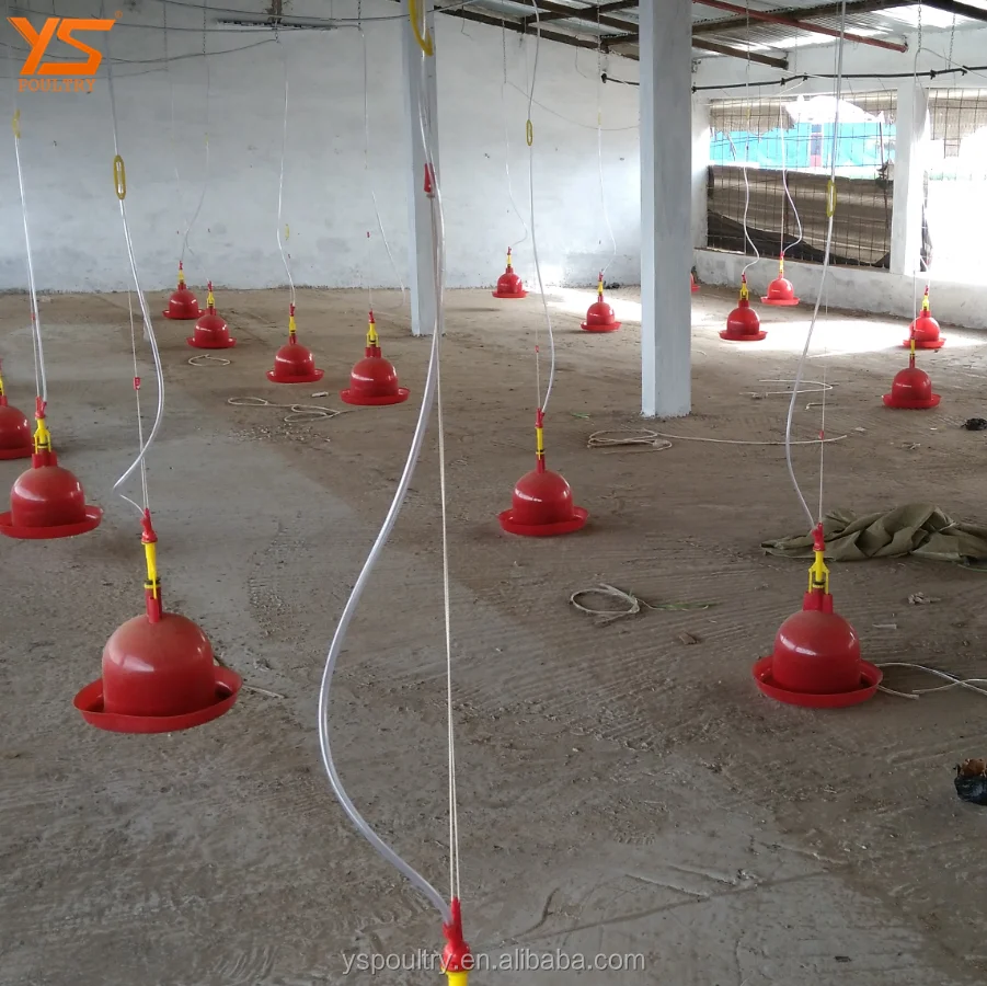 
Automatic poultry drinkers for chick broiler chicken 