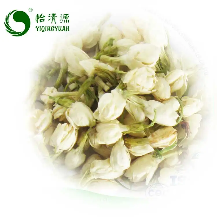 Jasmine flower-bud-3.jpg
