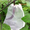 Agricultural Grow Bags,Fruit Protect Drawstring Net Bag for fruit